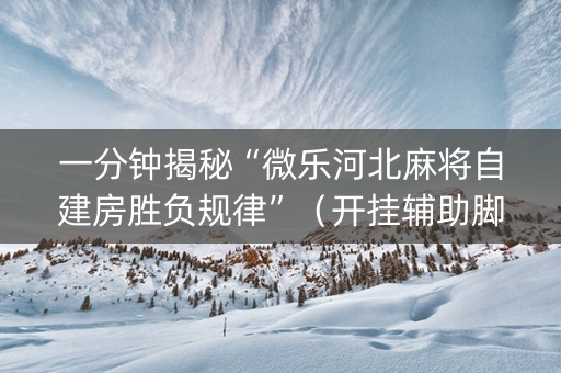 一分钟揭秘“微乐河北麻将自建房胜负规律”（开挂辅助脚本)