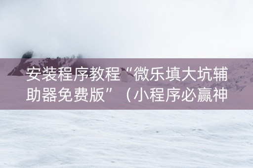 安装程序教程“微乐填大坑辅助器免费版”（小程序必赢神器)