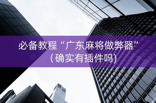 必备教程“广东麻将做弊器”（确实有插件吗)