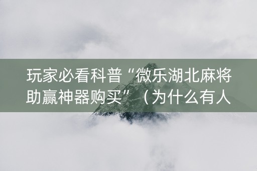 玩家必看科普“微乐湖北麻将助赢神器购买”（为什么有人一直赢)
