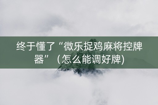 终于懂了“微乐捉鸡麻将控牌器”（怎么能调好牌)