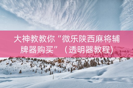 大神教教你“微乐陕西麻将辅牌器购买”（透明器教程)