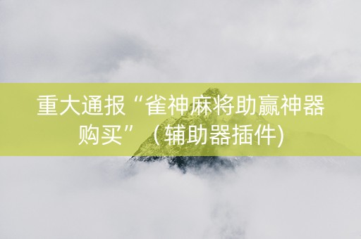 重大通报“雀神麻将助赢神器购买”（辅助器插件)