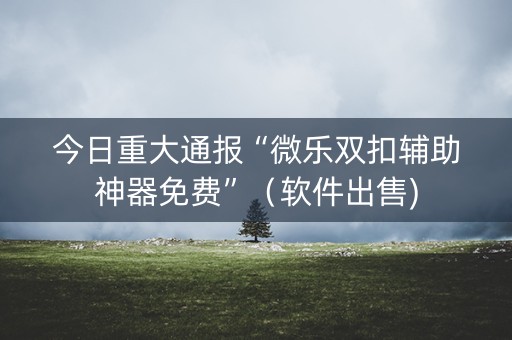 今日重大通报“微乐双扣辅助神器免费”（软件出售)