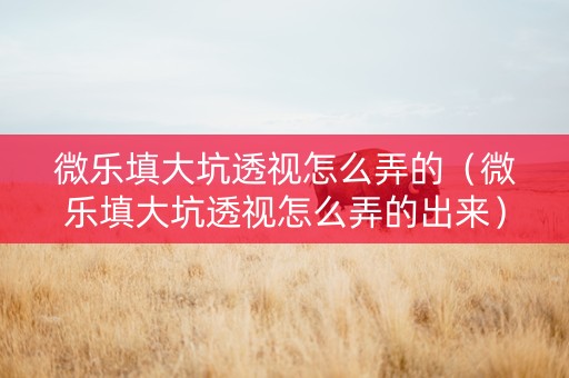 微乐填大坑透视怎么弄的（微乐填大坑透视怎么弄的出来）