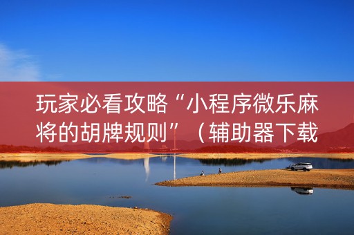 玩家必看攻略“小程序微乐麻将的胡牌规则”（辅助器下载)