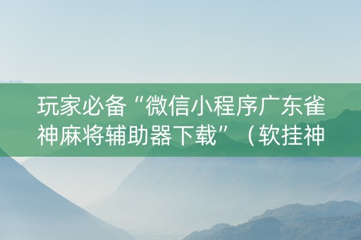 玩家必备“微信小程序广东雀神麻将辅助器下载”（软挂神器)