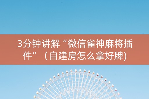3分钟讲解“微信雀神麻将插件”（自建房怎么拿好牌)