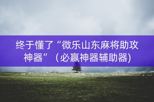 终于懂了“微乐山东麻将助攻神器”（必赢神器辅助器)