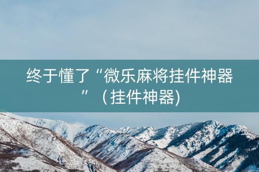 终于懂了“微乐麻将挂件神器”（挂件神器)