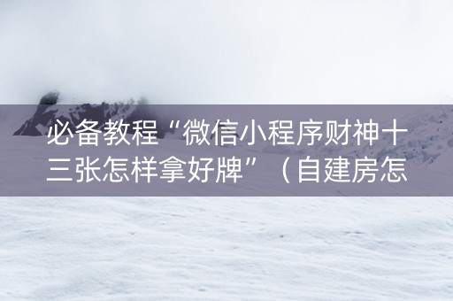 必备教程“微信小程序财神十三张怎样拿好牌”（自建房怎么拿好牌)