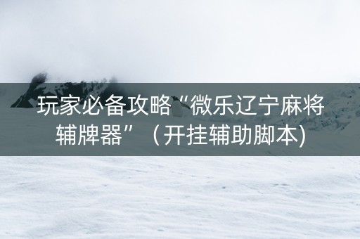 玩家必备攻略“微乐辽宁麻将辅牌器”（开挂辅助脚本)