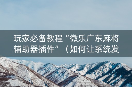 玩家必备教程“微乐广东麻将辅助器插件”（如何让系统发好牌)