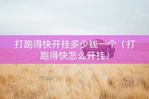 打跑得快开挂多少钱一个（打跑得快怎么开挂）