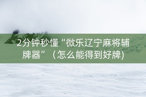 2分钟秒懂“微乐辽宁麻将辅牌器”（怎么能得到好牌)