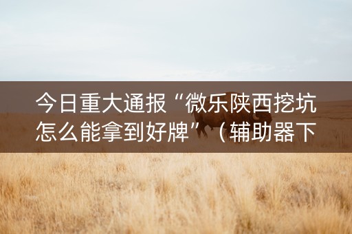 今日重大通报“微乐陕西挖坑怎么能拿到好牌”（辅助器下载)