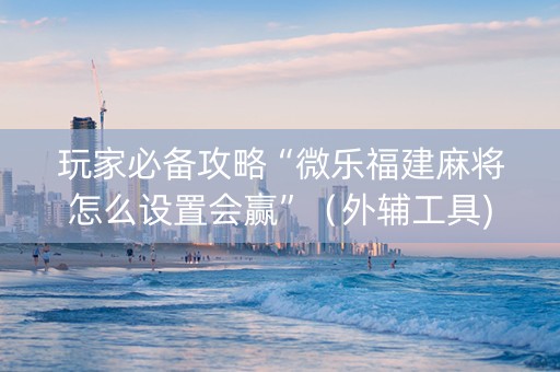 玩家必备攻略“微乐福建麻将怎么设置会赢”（外辅工具)