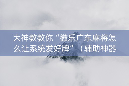 大神教教你“微乐广东麻将怎么让系统发好牌”（辅助神器免费)
