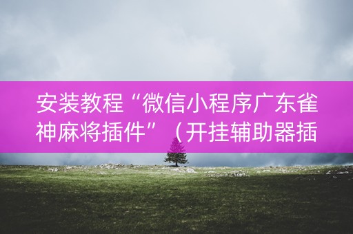 安装教程“微信小程序广东雀神麻将插件”（开挂辅助器插件)
