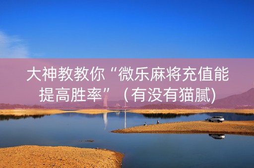 大神教教你“微乐麻将充值能提高胜率”（有没有猫腻)