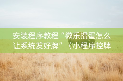 安装程序教程“微乐掼蛋怎么让系统发好牌”（小程序控牌器)