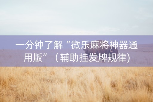 一分钟了解“微乐麻将神器通用版”（辅助挂发牌规律)