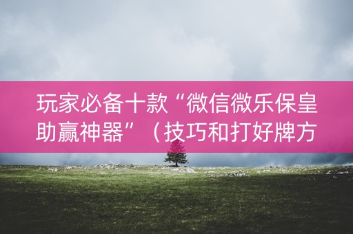 玩家必备十款“微信微乐保皇助赢神器”（技巧和打好牌方法)