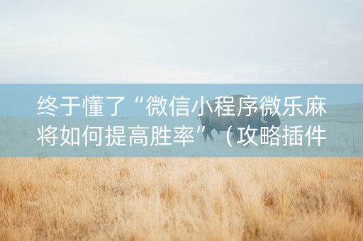终于懂了“微信小程序微乐麻将如何提高胜率”（攻略插件)