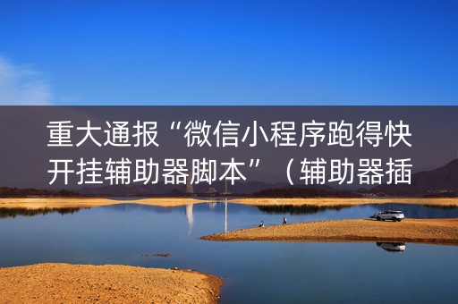 重大通报“微信小程序跑得快开挂辅助器脚本”（辅助器插件)