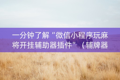一分钟了解“微信小程序玩麻将开挂辅助器插件”（辅牌器插件购买)