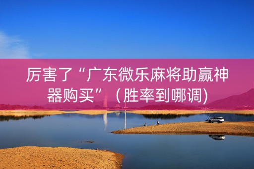 厉害了“广东微乐麻将助赢神器购买”（胜率到哪调)