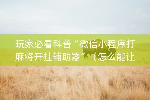 玩家必看科普“微信小程序打麻将开挂辅助器”（怎么能让牌好一点)
