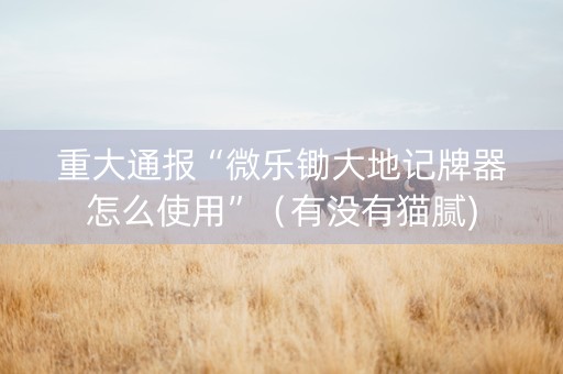 重大通报“微乐锄大地记牌器怎么使用”（有没有猫腻)