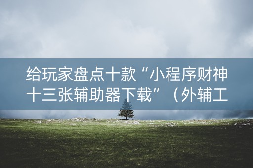给玩家盘点十款“小程序财神十三张辅助器下载”（外辅工具)