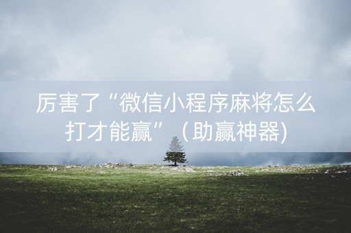 厉害了“微信小程序麻将怎么打才能赢”（助赢神器)
