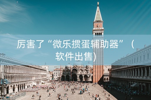 厉害了“微乐掼蛋辅助器”（软件出售)