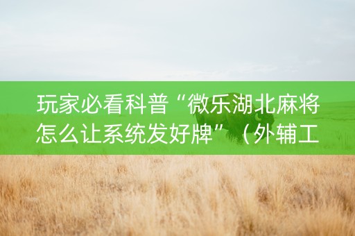 玩家必看科普“微乐湖北麻将怎么让系统发好牌”（外辅工具)