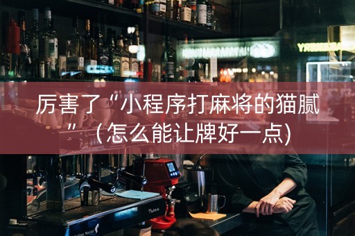 厉害了“小程序打麻将的猫腻”（怎么能让牌好一点)