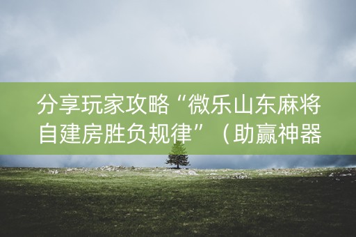 分享玩家攻略“微乐山东麻将自建房胜负规律”（助赢神器)
