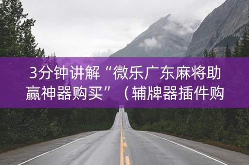 3分钟讲解“微乐广东麻将助赢神器购买”（辅牌器插件购买)