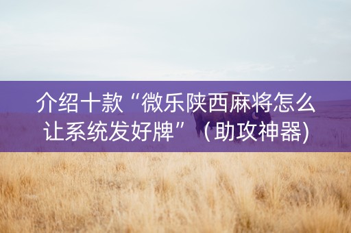 介绍十款“微乐陕西麻将怎么让系统发好牌”（助攻神器)