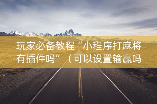 玩家必备教程“小程序打麻将有插件吗”（可以设置输赢吗)