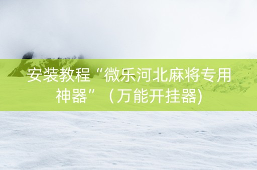安装教程“微乐河北麻将专用神器”（万能开挂器)