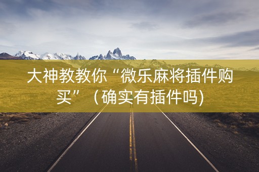 大神教教你“微乐麻将插件购买”（确实有插件吗)