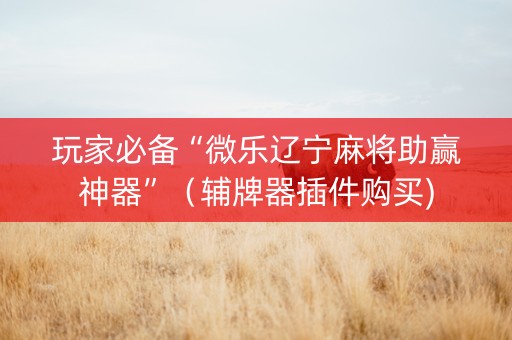 玩家必备“微乐辽宁麻将助赢神器”（辅牌器插件购买)