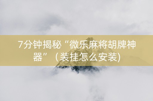 7分钟揭秘“微乐麻将胡牌神器”（装挂怎么安装)