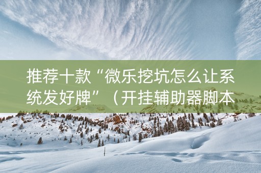 推荐十款“微乐挖坑怎么让系统发好牌”（开挂辅助器脚本)