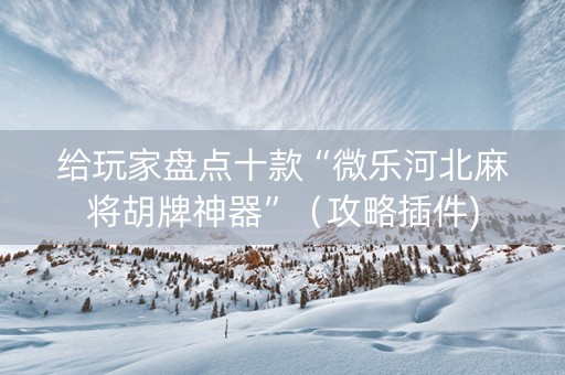 给玩家盘点十款“微乐河北麻将胡牌神器”（攻略插件)