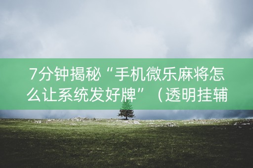 7分钟揭秘“手机微乐麻将怎么让系统发好牌”（透明挂辅助器)