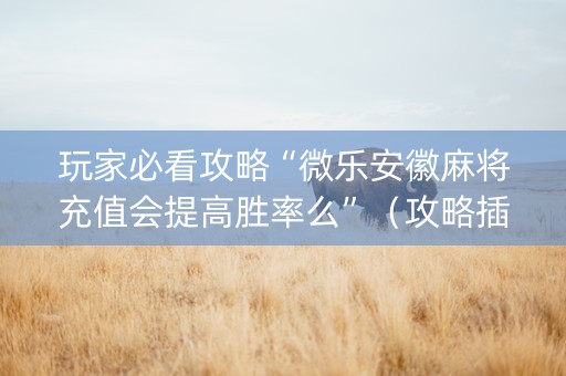玩家必看攻略“微乐安徽麻将充值会提高胜率么”（攻略插件)